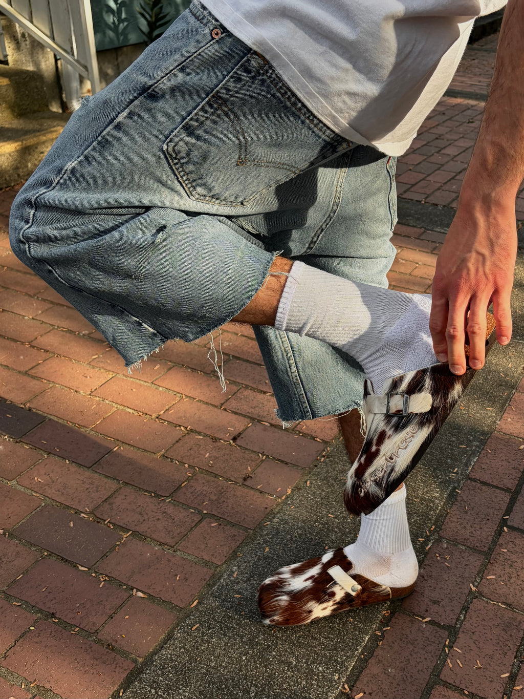 Stallion Stepper