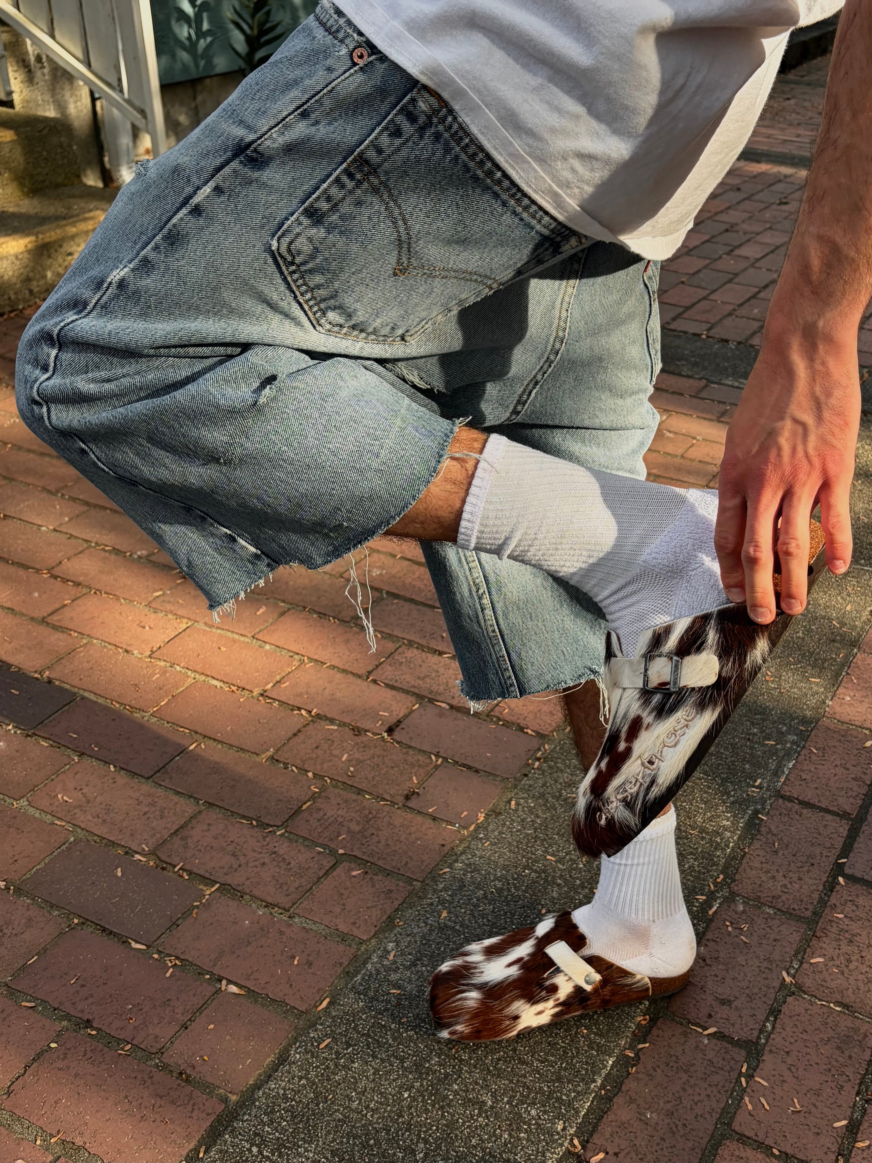 Stallion Stepper